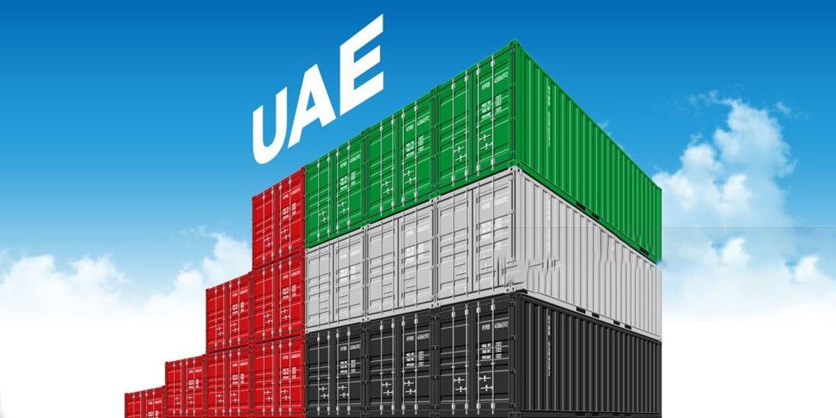 International Movers and Packers Dubai